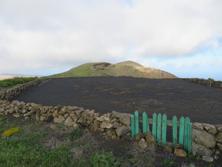 Spain Canary Islands: Lanzarote, Los Helechos and West of Maguez , Ridgetop potato field, Walkopedia