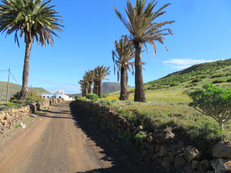 Spain Canary Islands: Lanzarote, Maguez Area  , , Walkopedia