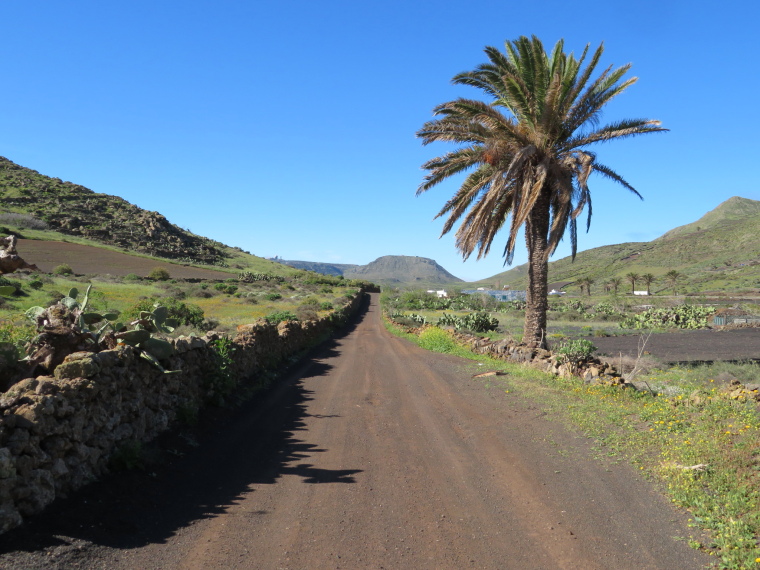Spain Canary Islands: Lanzarote, Maguez Area  , , Walkopedia