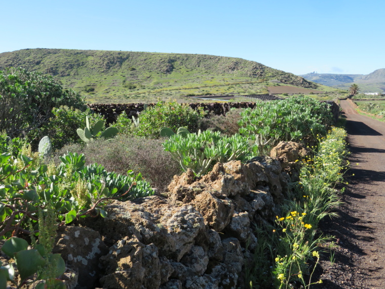 Spain Canary Islands: Lanzarote, Maguez Area  , , Walkopedia