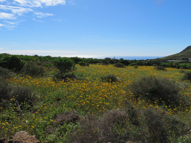 Spain Canary Islands: Lanzarote, Maguez Area  , , Walkopedia