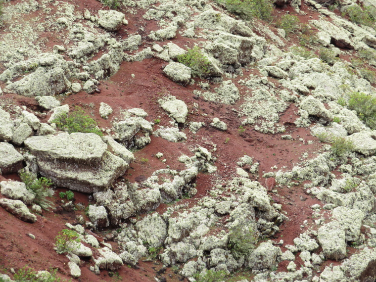 Spain Canary Islands: Lanzarote, Maguez Area  , , Walkopedia