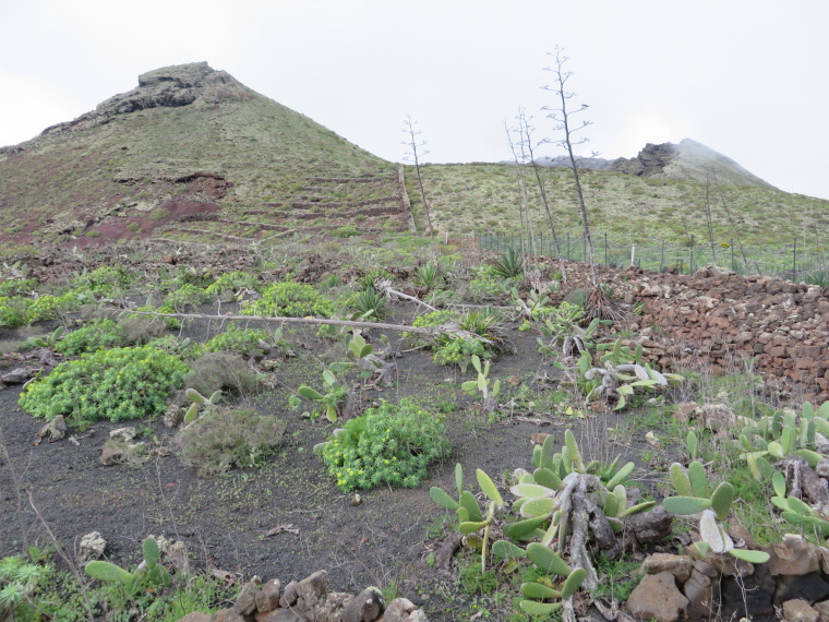 Spain Canary Islands: Lanzarote, Maguez Area  , Climb from north to Corona crater, Walkopedia