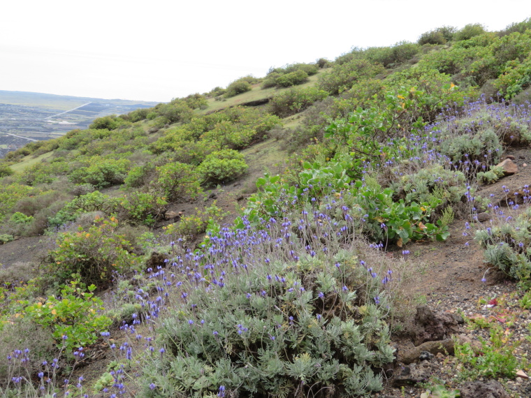 Spain Canary Islands: Lanzarote, Maguez Area  , , Walkopedia