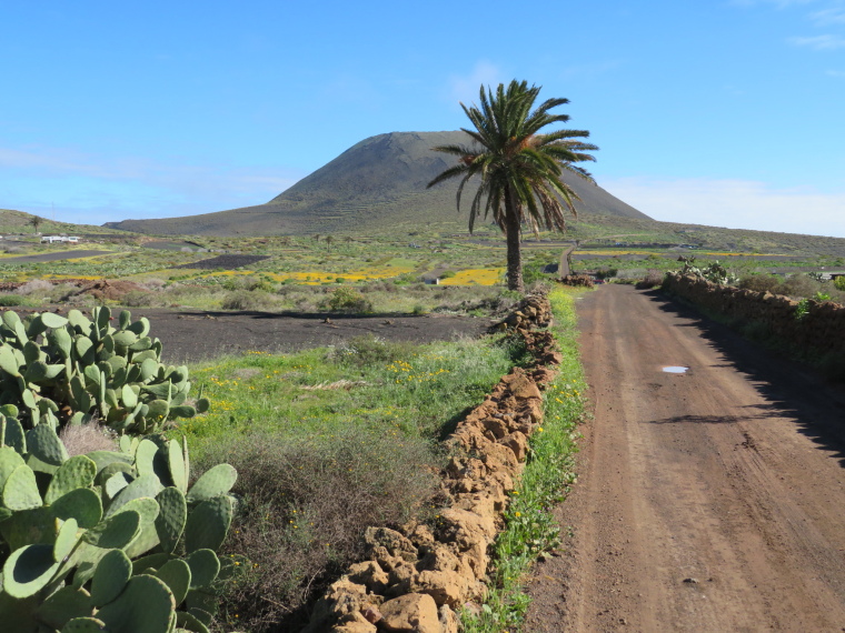 Spain Canary Islands: Lanzarote, Montana Corona ,  Track towards Corona, Walkopedia