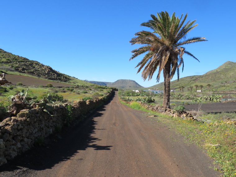 Spain Canary Islands: Lanzarote, Montana Corona , , Walkopedia