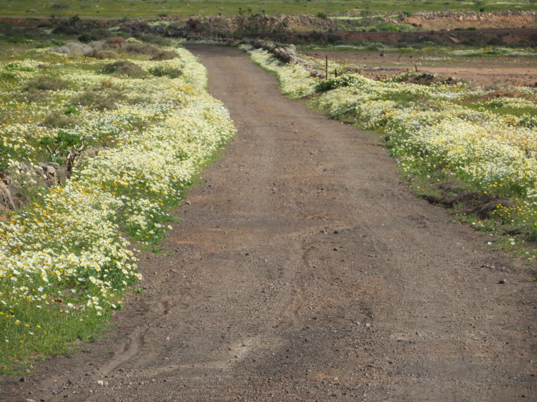 Spain Canary Islands: Lanzarote, Above Teguise , , Walkopedia