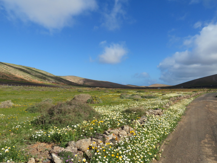 Spain Canary Islands: Lanzarote, Above Teguise , North up valley towards cliff edge, Walkopedia