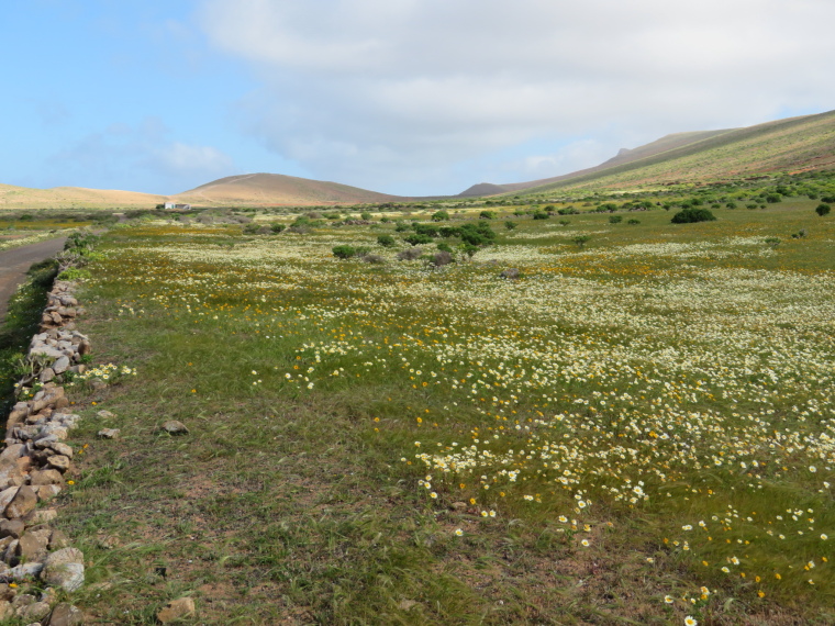 Spain Canary Islands: Lanzarote, Above Teguise , , Walkopedia