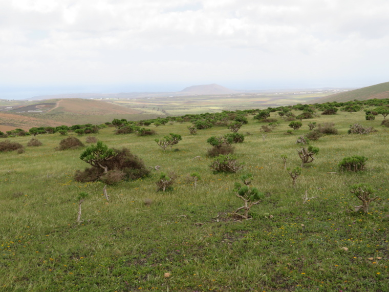 Spain Canary Islands: Lanzarote, Above Teguise , , Walkopedia