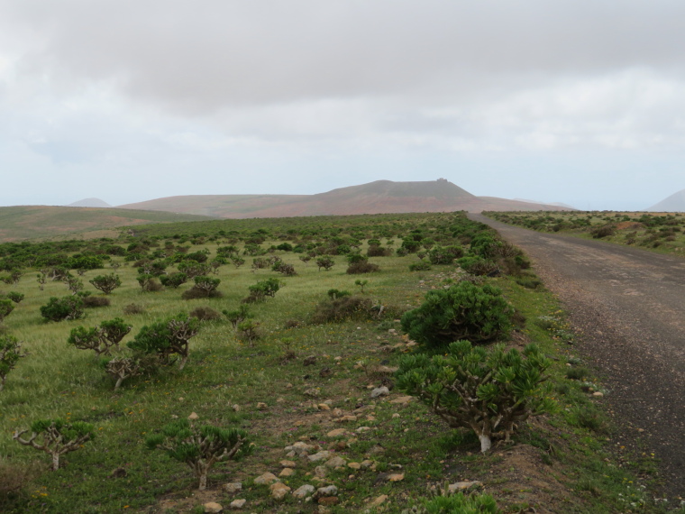 Spain Canary Islands: Lanzarote, Above Teguise , Main ridge top, Walkopedia