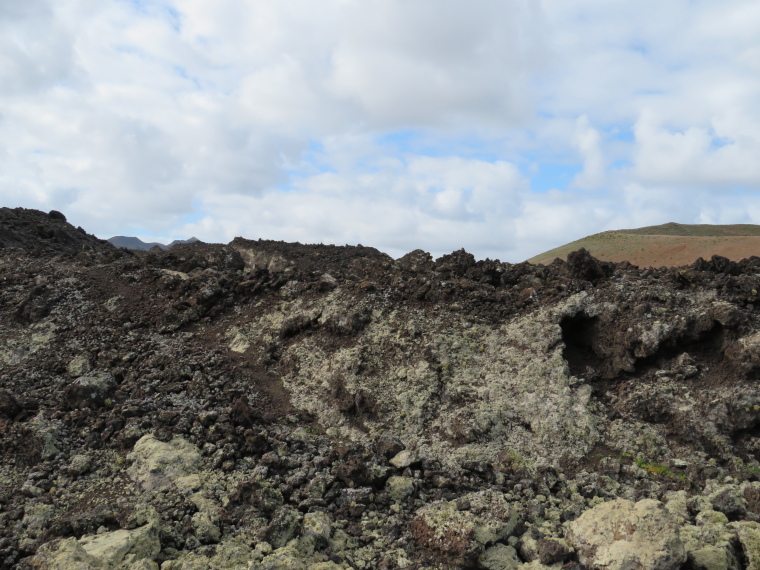 Spain Canary Islands: Lanzarote, Caldera Blanca , Lichen appearing, Walkopedia