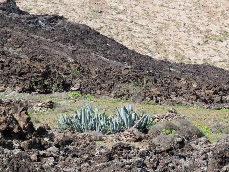 Spain Canary Islands: Lanzarote, Caldera Blanca , , Walkopedia