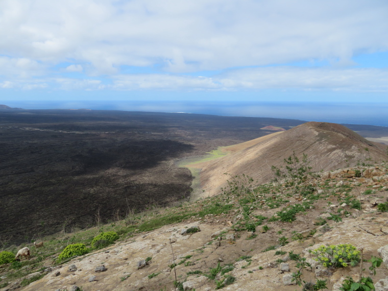 Spain Canary Islands: Lanzarote, Caldera Blanca , , Walkopedia