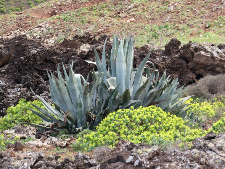 Spain Canary Islands: Lanzarote, Caldera Blanca , , Walkopedia