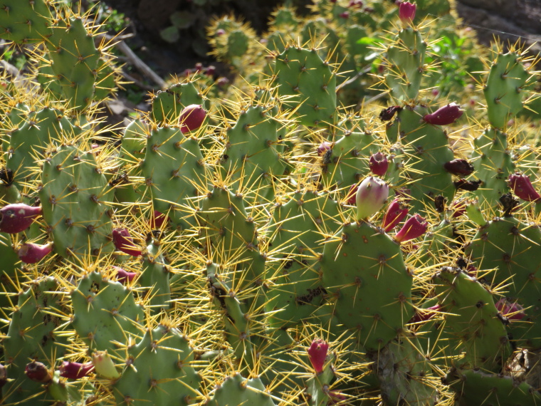 Spain Canary Islands: Lanzarote, Femes area, , Walkopedia