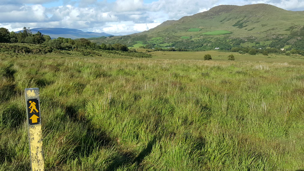 Ireland Kerry/Cork Beara Peninsula, Beara Way , , Walkopedia