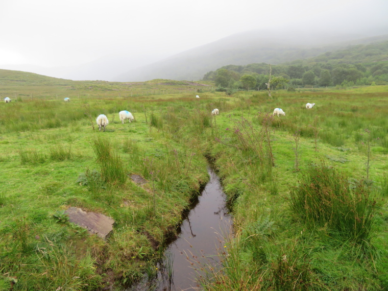 Ireland Kerry/Cork Beara Peninsula, Beara Way , , Walkopedia