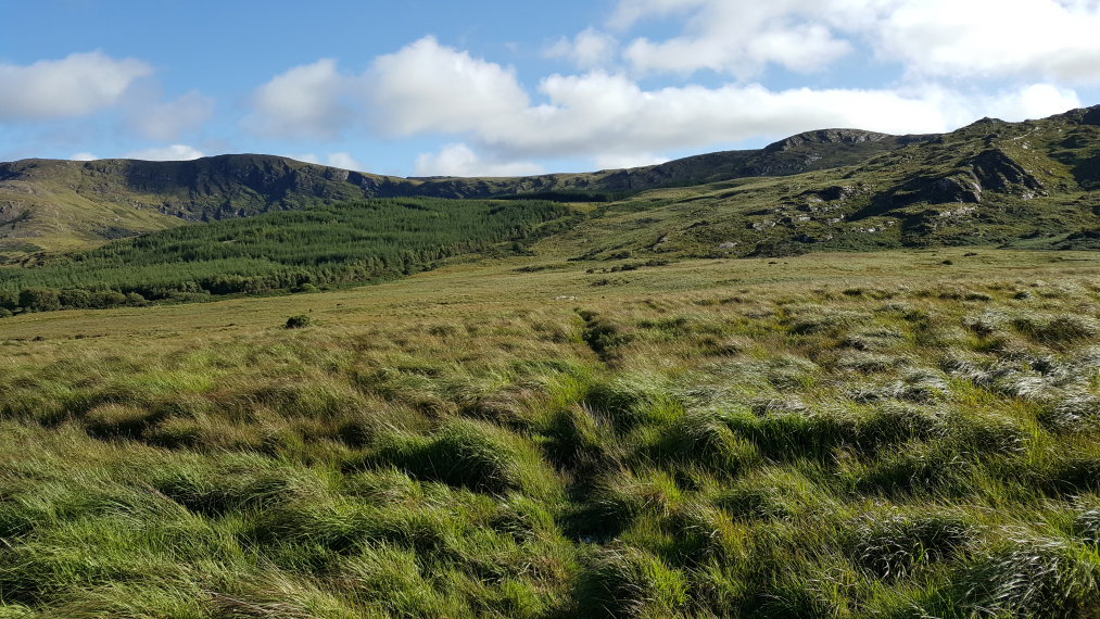 Ireland Kerry/Cork Beara Peninsula, Beara Way , Beara Way approaching Knocknagorraveela ridge, east-central Beara, Walkopedia