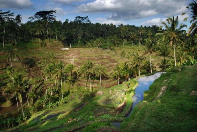 © flcikr user- William Cho Rice Terraces: © flcikr user- William Cho