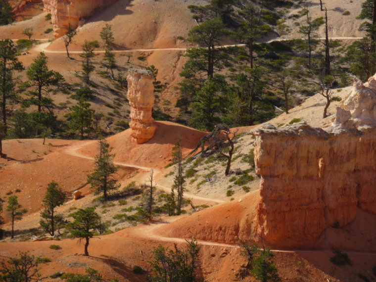 USA South-west, Utah's Canyon Lands, Bryce - snaking path, Walkopedia