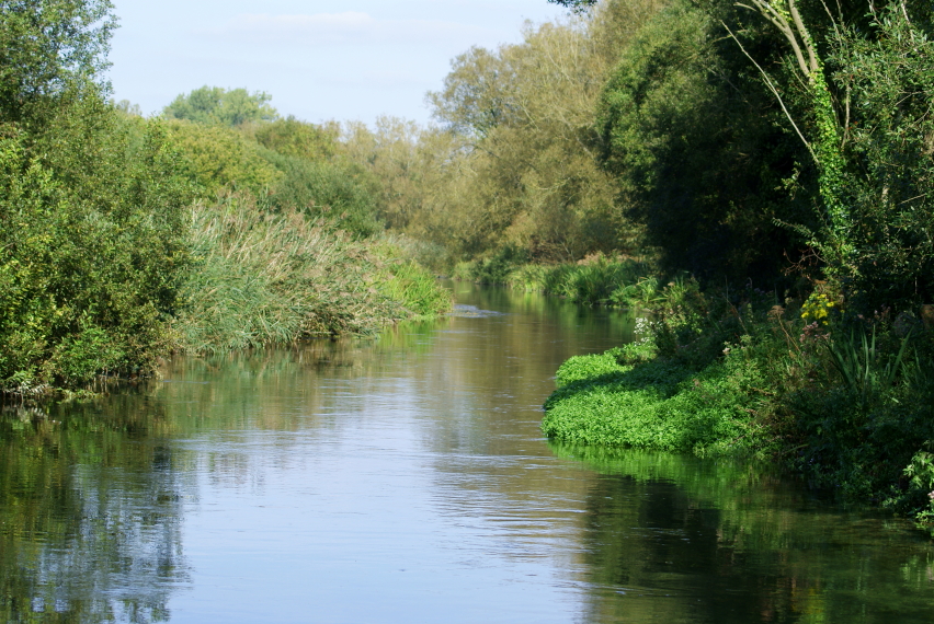 United Kingdom England South, Winnall Moors, , Walkopedia