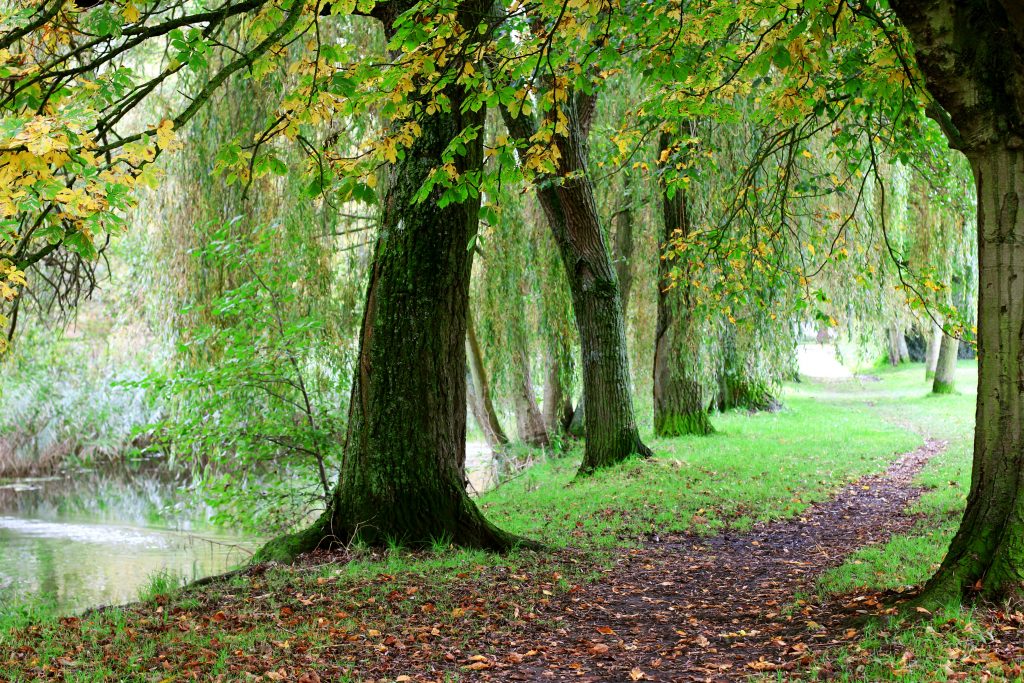 United Kingdom England South, Winnall Moors, Nature UK, Walkopedia