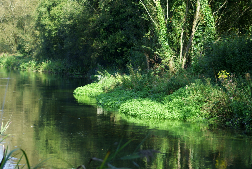 United Kingdom England South, Winnall Moors, , Walkopedia