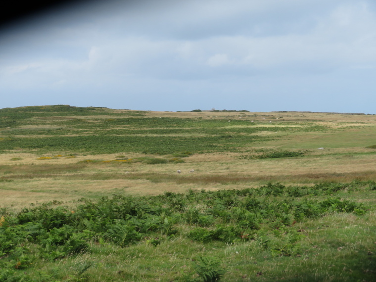 United Kingdom England South-west, Lundy Island, Central plateau, Walkopedia