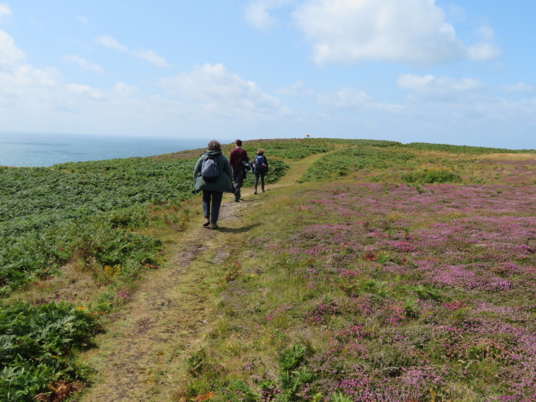 United Kingdom England South-west, Lundy Island, On top, southern end, Walkopedia