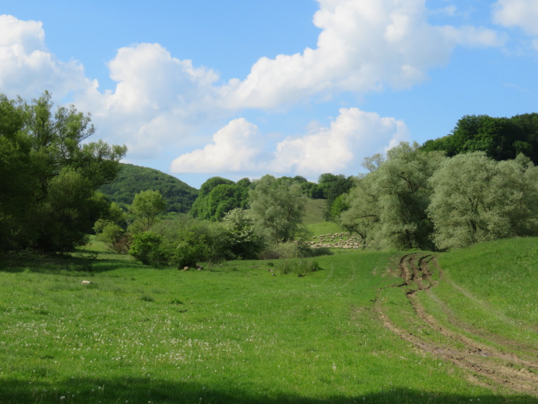 Romania Transylvania, Transylvania, , Walkopedia