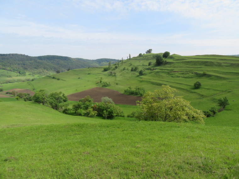 Romania Transylvania, Transylvania, From Copsa mare, Walkopedia