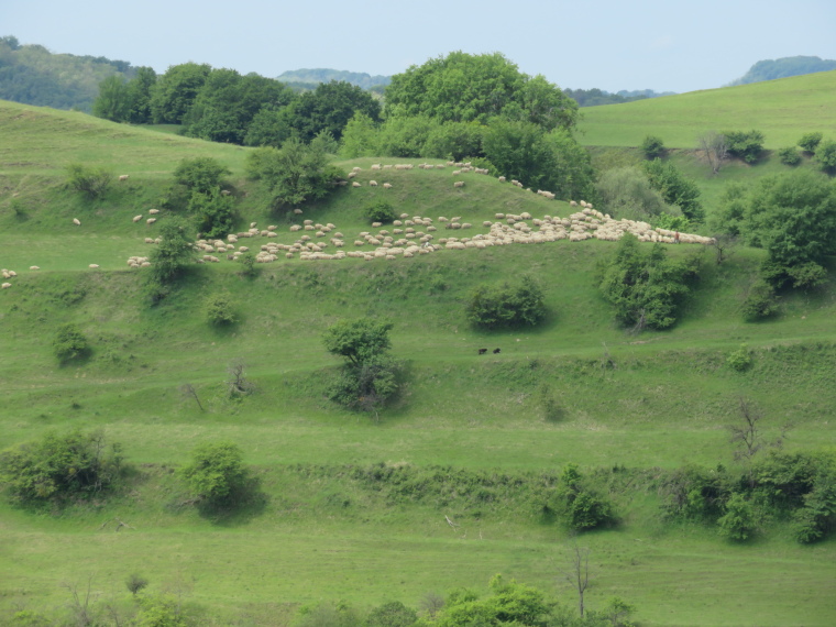 Romania Transylvania, Transylvania, , Walkopedia