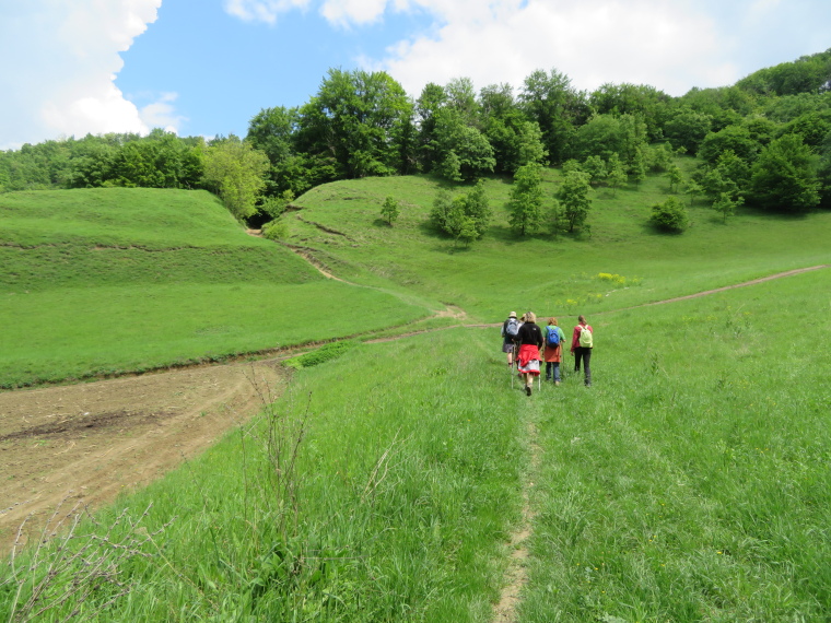 Romania Transylvania, Transylvania, Malancrav, first walk, Walkopedia