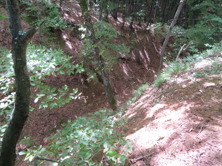 Romania Transylvania, Transylvania, Deep ancient track, Walkopedia