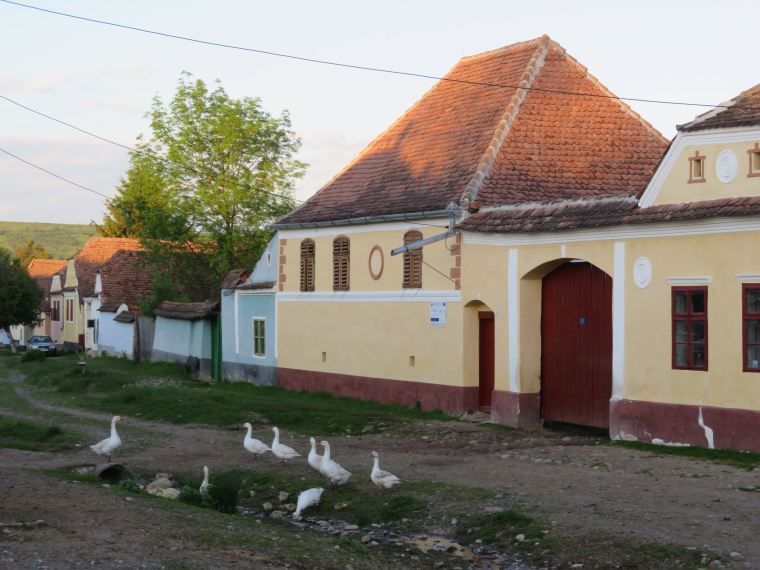 Romania Transylvania, Transylvania, , Walkopedia