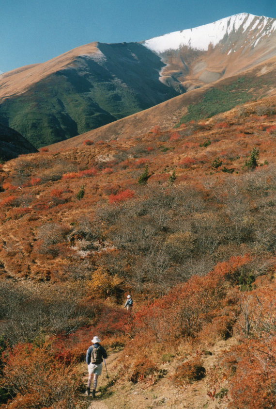 Bhutan, Jomolhari trek, Autumn colours, Walkopedia