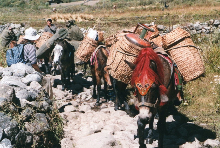 Bhutan, Jomolhari trek, Jomolhari Trek, Walkopedia