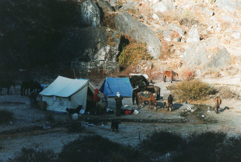 Bhutan, Jomolhari trek, Jomolhari Trek, Walkopedia