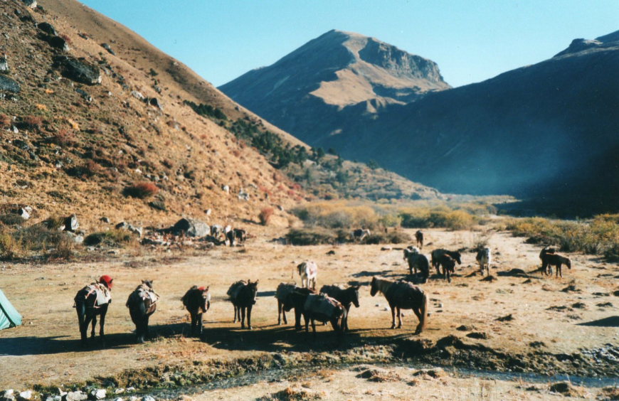 Bhutan, Jomolhari trek, Jomolhari Trek, Walkopedia