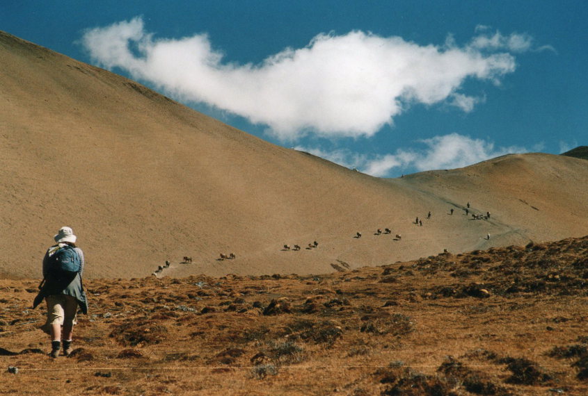 Bhutan, Jomolhari trek, Jomolhari Trek, Walkopedia