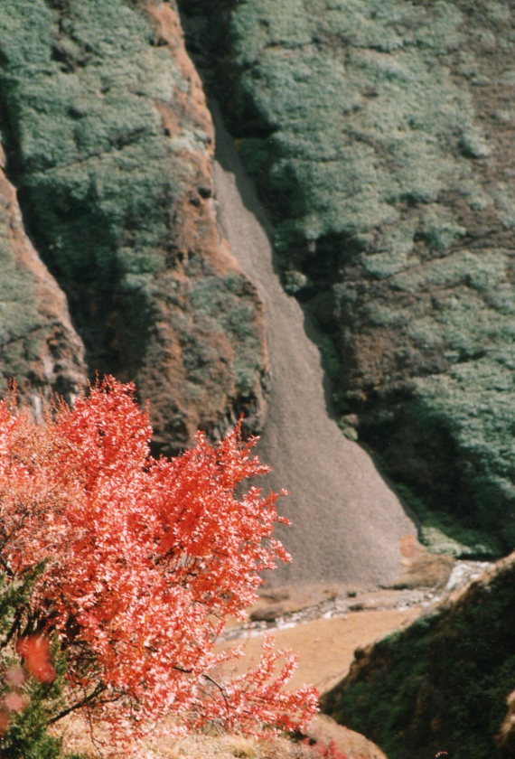 Bhutan, Jomolhari trek, Jomolhari Trek, Walkopedia