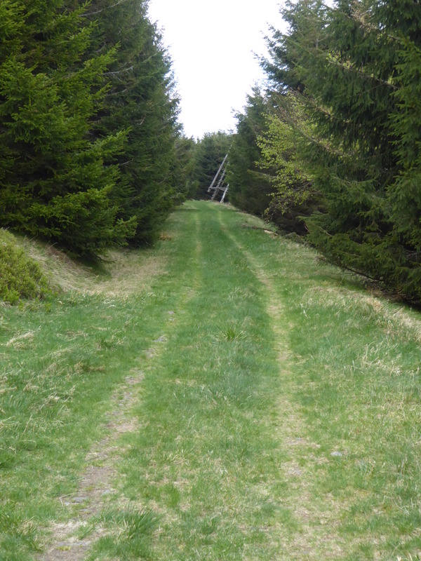 France Vosges Massif, GR 53, Lovely level path beyond Struthof , Walkopedia