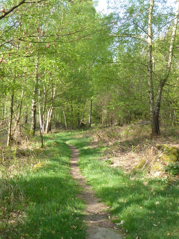 France Vosges Massif, GR 53, Path approaching Graufthal , Walkopedia