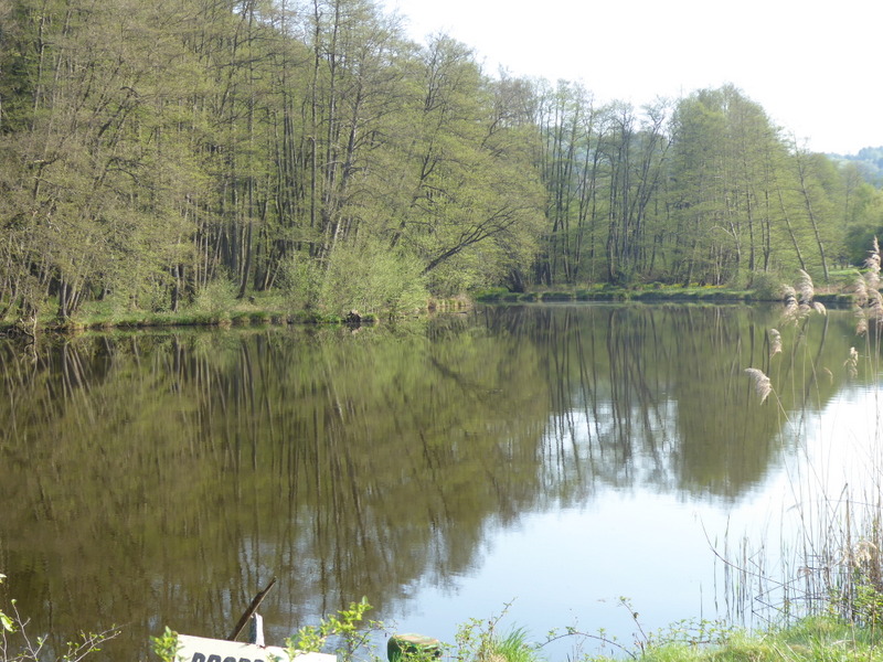 France Vosges Massif, GR 53, Trout ponds near Moulin de la Petite-Pierre , Walkopedia