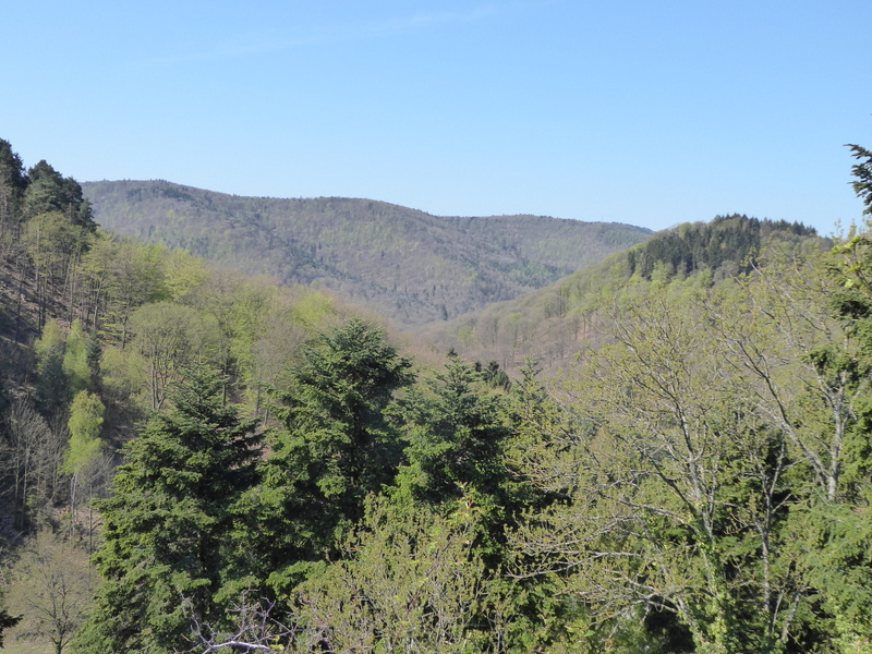 France Vosges Massif, GR 53, View of Vosges forest from Windstein Castle, Walkopedia