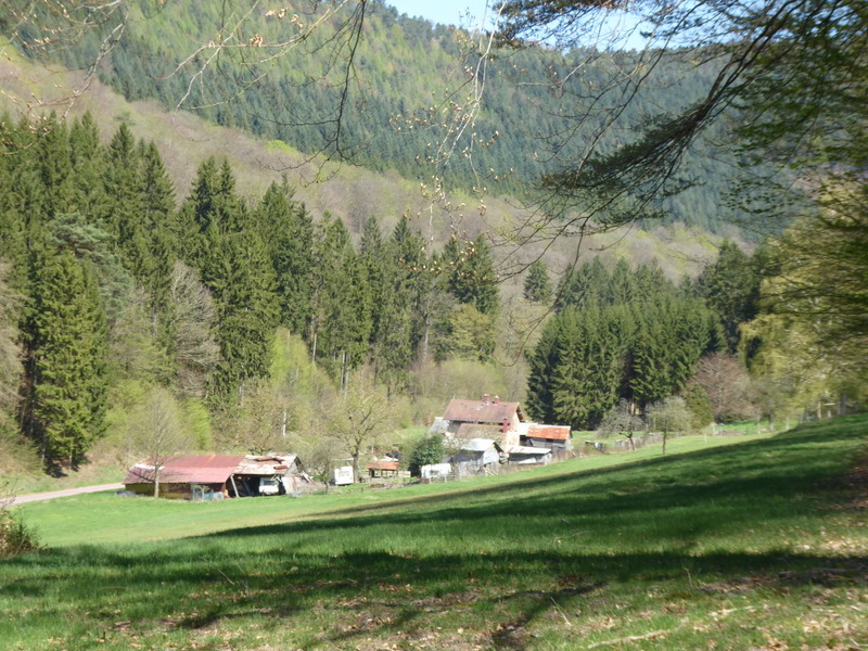 France Vosges Massif, GR 53, Village of Windstein viewed from path beyond the Old Castle , Walkopedia