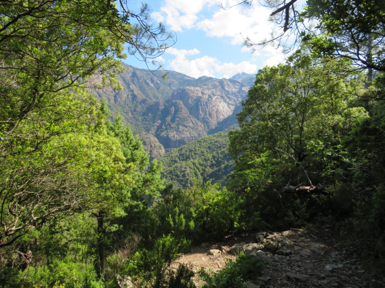 France Corsica: Northern Highlands, Spelunca Gorge, Path down into gorge, Walkopedia