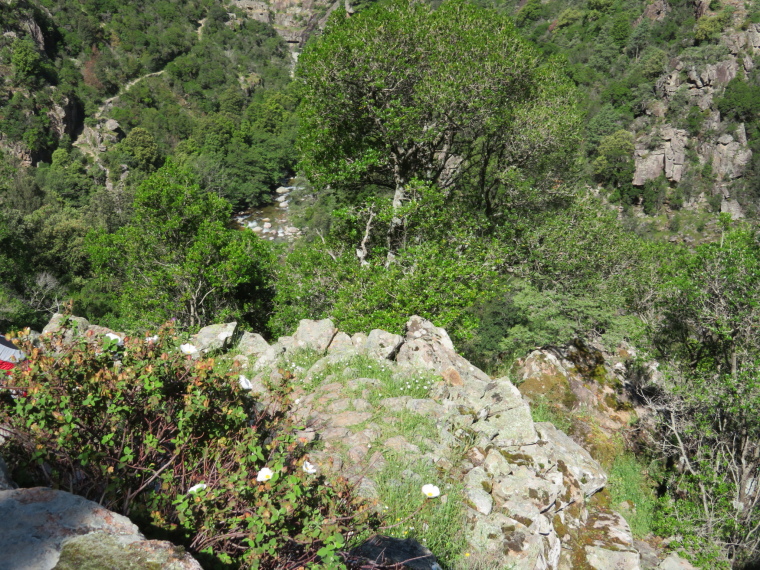 France Corsica: Northern Highlands, Spelunca Gorge, , Walkopedia