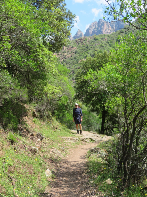 France Corsica: Northern Highlands, Spelunca Gorge, , Walkopedia